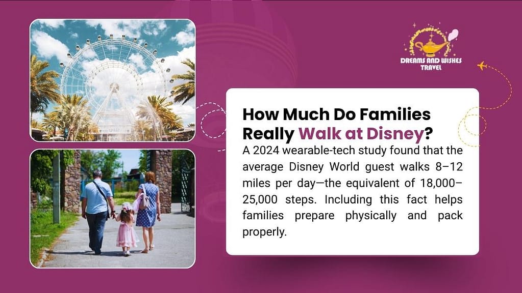How to plan a disney vacation - An image illustrating a study on how much families walk at Disney World. A 2024 study found the average guest walks 8-12 miles per day (18,000-25,000 steps). The image features a Ferris wheel and a family walking together.