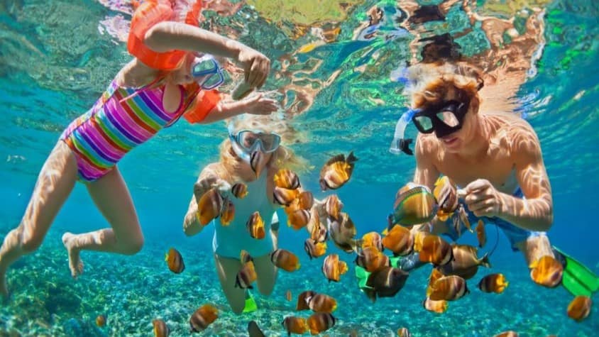 Read more about the article The Best Places to Snorkel in Hawaii